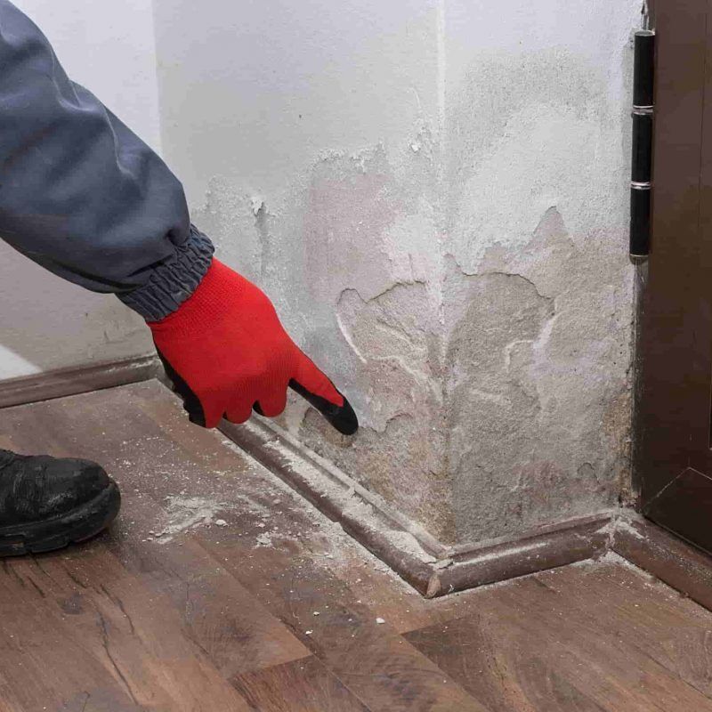 remontée capillaire mur