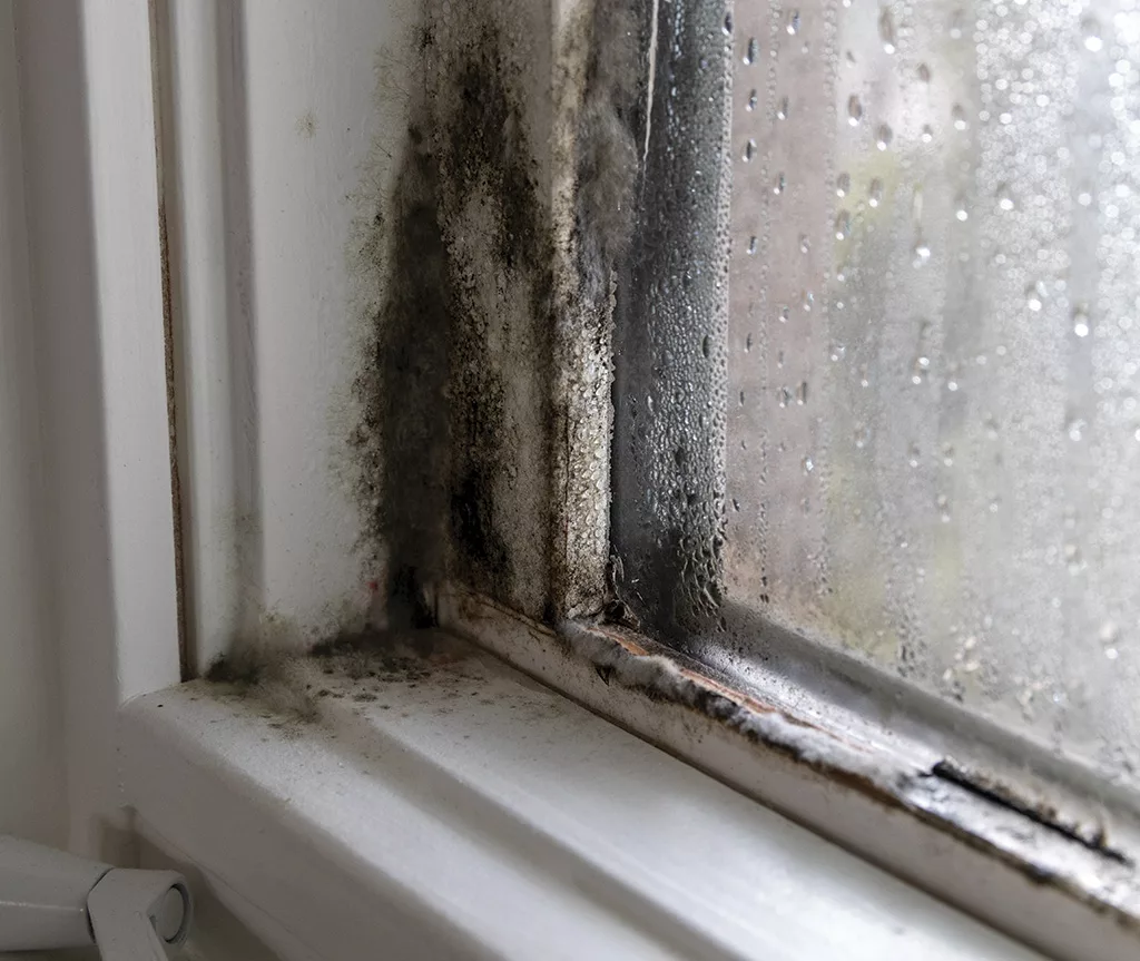 6 avis clients Rhône Alpes