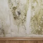 Humidité dans la maison : la détecter et la traiter