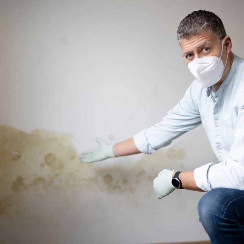 remontée capillaire mur